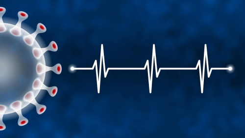 Boost your immune system and stay healthy with Immune Support!